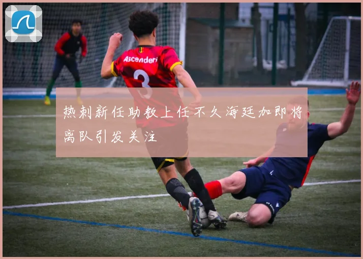 热刺新任助教上任不久海廷加即将离队引发关注