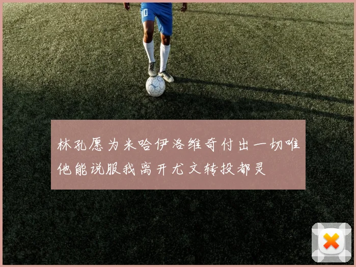 林孔愿为米哈伊洛维奇付出一切唯他能说服我离开尤文转投都灵