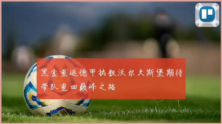 黑金重返德甲执教沃尔夫斯堡期待带队重回巅峰之路
